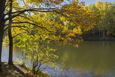 Similar image 21058518