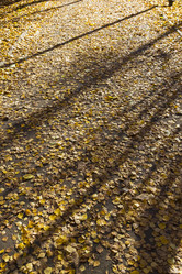 Similar image 21058520