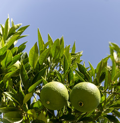 Similar image 21057785