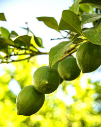 Similar image 21057786