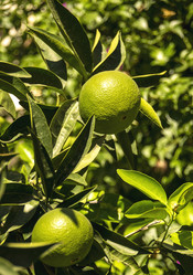 Similar image 21057787