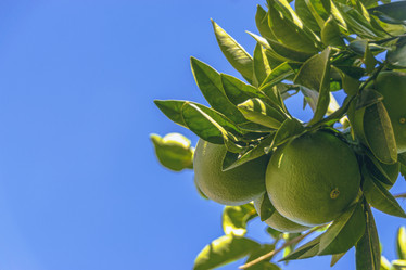 Similar image 21057788