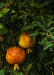 Similar image 21057789