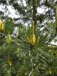 Similar image 21056580