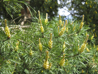 Similar image 21056581