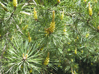 Similar image 21056582