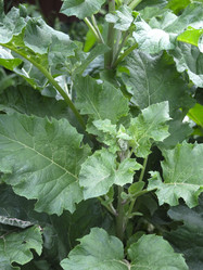 Similar image 21056583