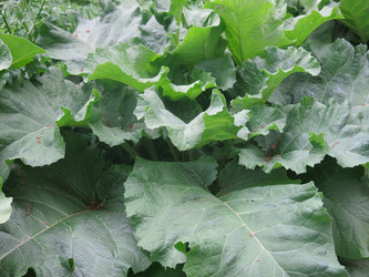 Similar image 21056584