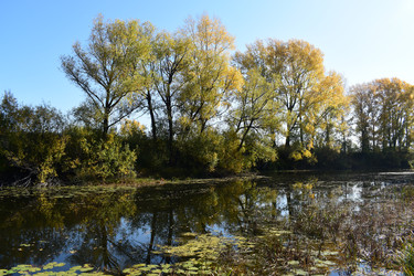 Similar image 21057792