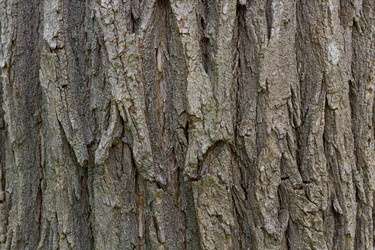 Similar image 21059227