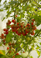 Similar image 21059228