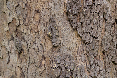 Similar image 21059231