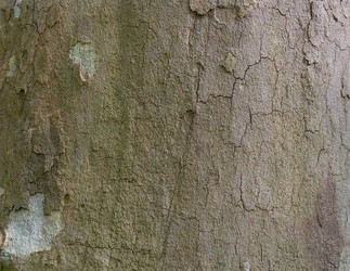 Similar image 21059233