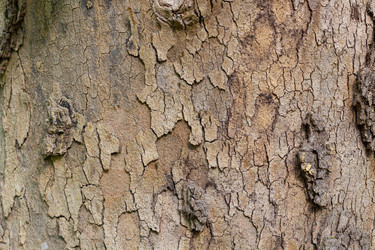 Similar image 21059236