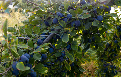 Similar image 21059238