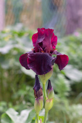 Similar image 21059245