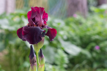 Similar image 21059246