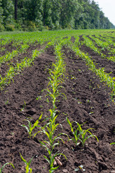 Similar image 21059499