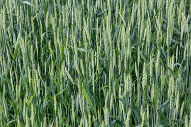 Similar image 21059501