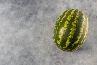 Similar image 21059502