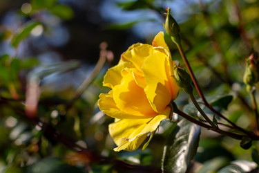 Similar image 21059503