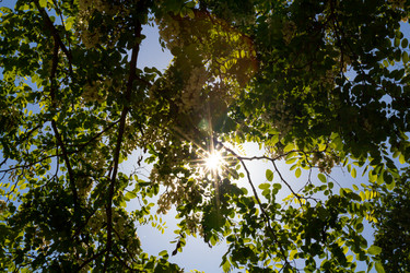 Similar image 21059507