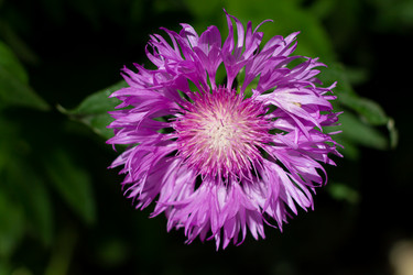 Similar image 21059513