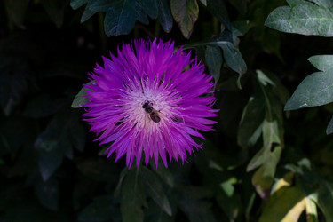 Similar image 21059515