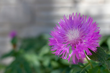 Similar image 21059517