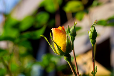 Similar image 21059519