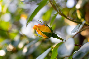 Similar image 21059521