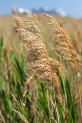 Similar image 21059527