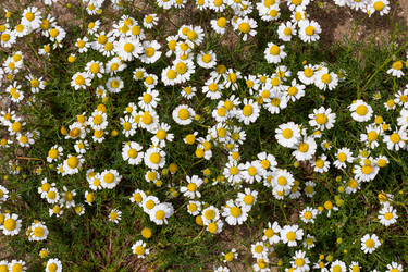 Similar image 21059529