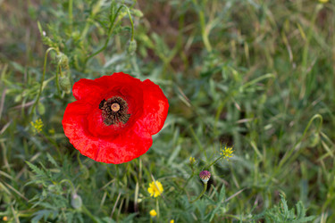 Similar image 21059532