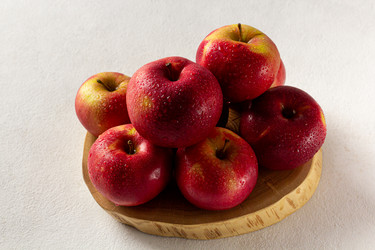 Similar image 21059558