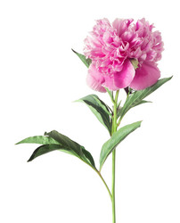 Similar image 21058205