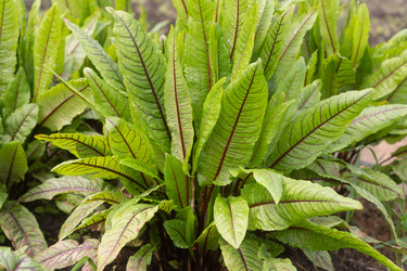 Similar image 21056877