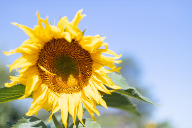 Similar image 21059568