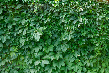 Similar image 21059577