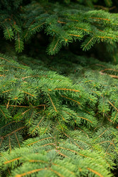 Similar image 21059579