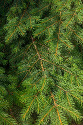 Similar image 21059581