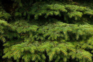 Similar image 21059582