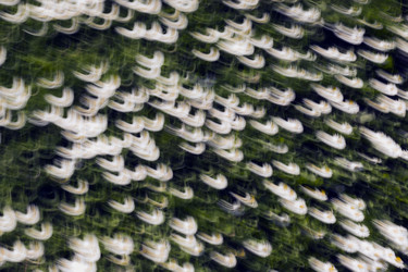 Similar image 21058213