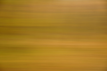 Similar image 21058215