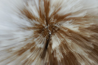 Similar image 21058217