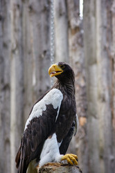 Similar image 21057799