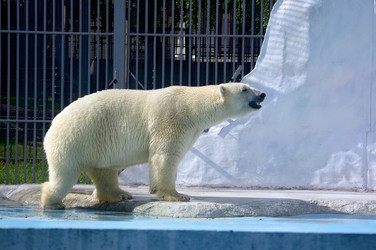 Similar image 21057800