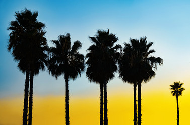 Similar image 21058535