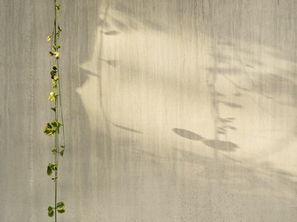 Similar image 21058559