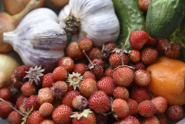 Similar image 21058382